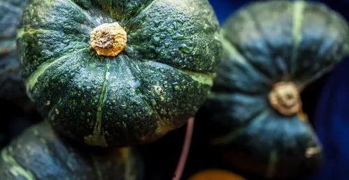 911吃瓜爆料有毒吗是真的吗,有毒还是真相？