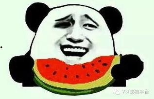 黑饱宝和榜一大哥吃瓜,揭秘网络吃瓜背后的故事