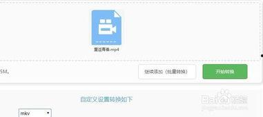 视频在线转换,轻松获取精彩内容概述