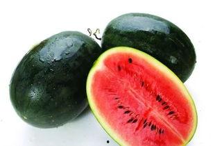 黑瓜吃料网最新