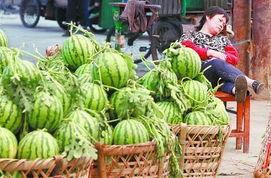 城固吃瓜最新事件爆料新闻