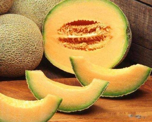 哈密瓜今日收购行情,价格波动与市场动态一览