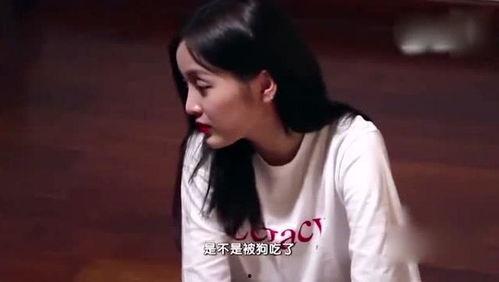 宣仪吃瓜爆料视频大全,揭秘娱乐圈幕后真相