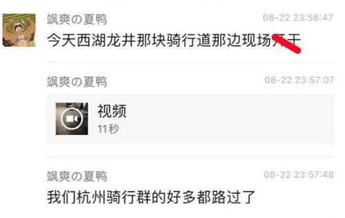 郑州吃瓜爆料视频,一场网络热议背后的真相大起底