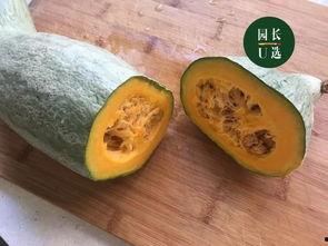 新疆吃瓜最新爆料,揭秘最新爆料背后的真相与争议