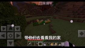我的世界视频,奇幻冒险之旅回顾