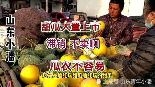 卖瓜小妹今日售瓜量,卖瓜小妹实力圈粉！”