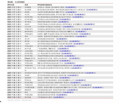 今日洋瓜价格最新行情表,波动分析及市场趋势洞察