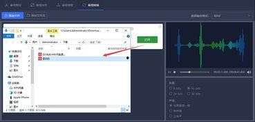 视频转换成音频,音频版深度解析
