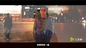 鸟哥视频,揭秘鸟类世界的奥秘与魅力