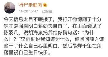 今日吃瓜小说在线阅读,揭秘网络文学世界的甜蜜与苦涩