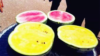 系统爆料吃瓜,系统爆料，吃瓜群众狂欢时刻