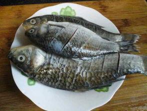 做鱼的方法大全视频,全方位鱼料理制作攻略揭秘