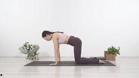 瑜伽入门视频,入门视频精华解析