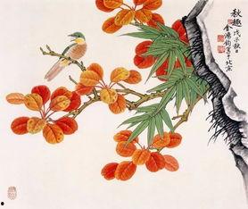 花鸟画教学视频,从入门到精通的绘画之旅