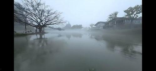 烟雨视频,穿越时空的影像之旅