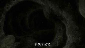 茧石云视频,探索虚拟现实世界的无限可能